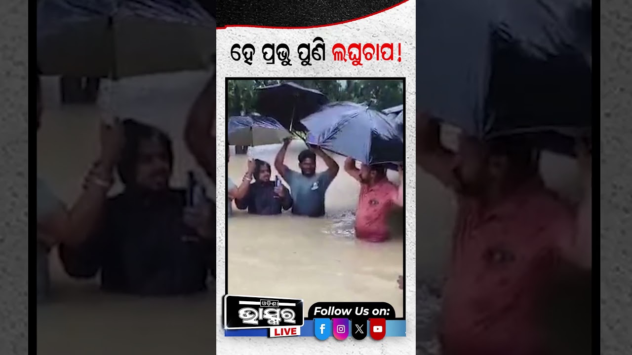 ପୁଣି ଆସୁଛି ବଡ ଲଘୁଚାପ #ytshorts #shortsvideo #weather #rain