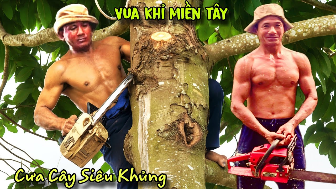 Chấn động! Mái nhà rung chuyển sai một ly là sập Đình Vua Khỉ và Đệ Tử xử lý sao đây vị trí quá khó