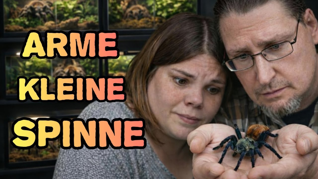 ERST REHOUSE, DANN AMPUTATION!!! (Chromatopela Cyaneopubescens Haltung) 