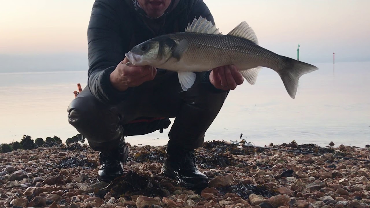 Topwaters at Dawn - Bass Fishing on the South Coast of England