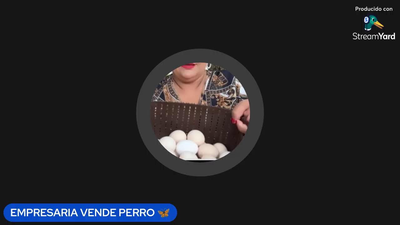 TODO ESTE TIEMPO EMOS DICHO LA VERDAD