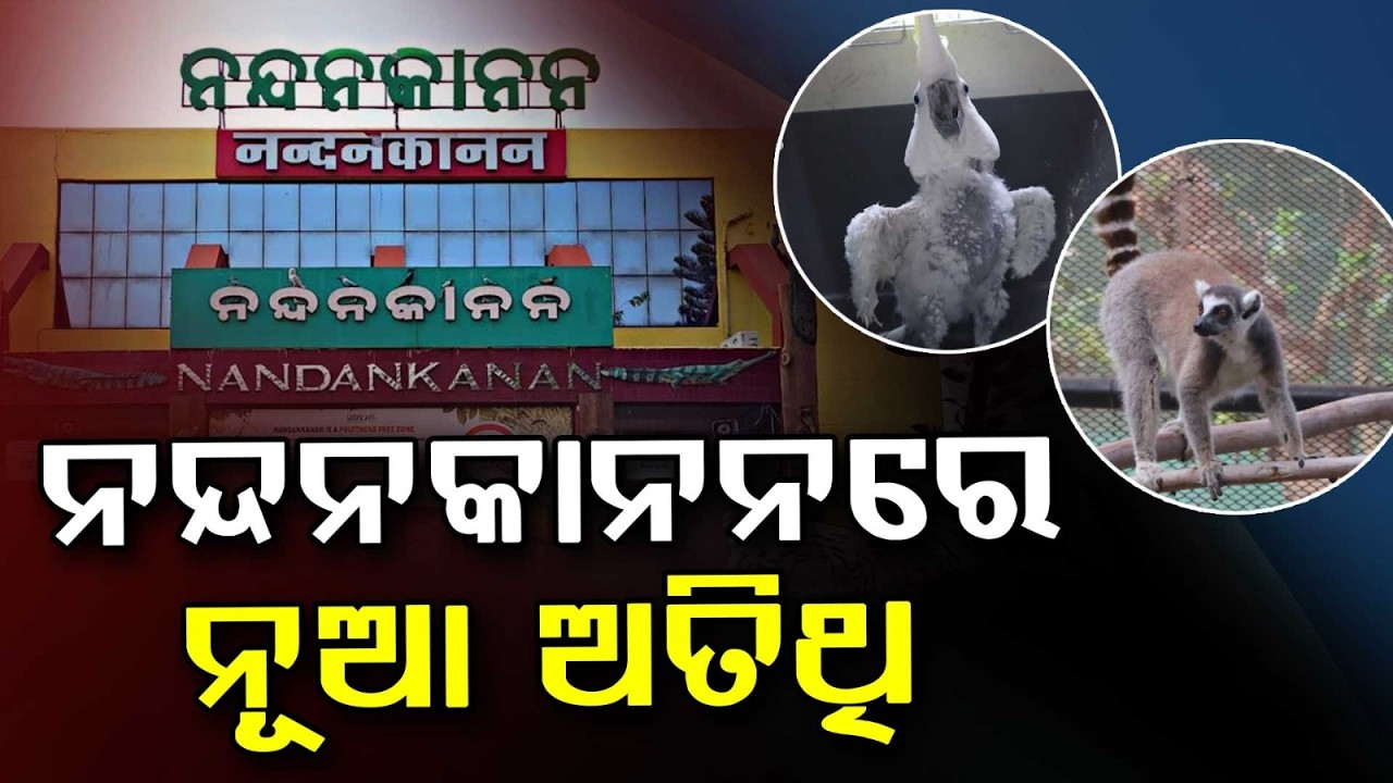 ନନ୍ଦନକାନନରେ ନୂଆ ଅତିଥି | New Animals Arrive at Nandankanan Zoo