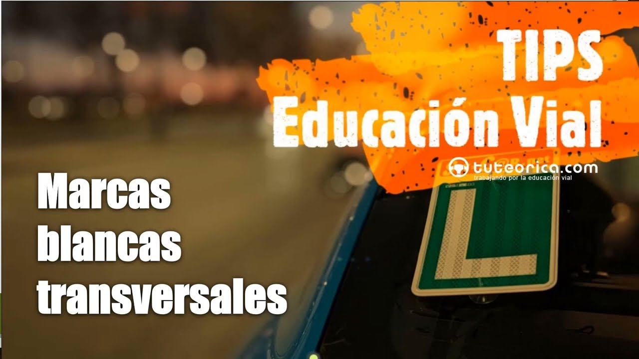 Conoce las marcas blancas transversales viales. Diccionario vial para la teórica de carnet conducir.