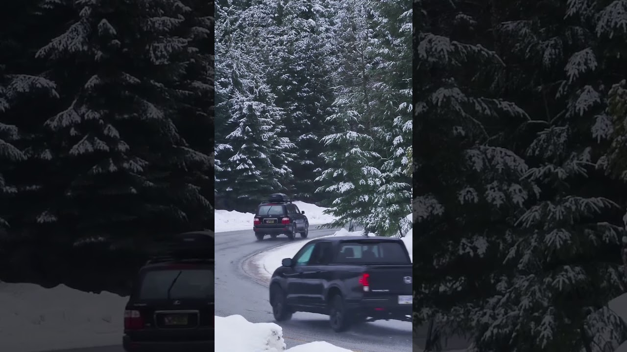 Curve on a snowy forest road 