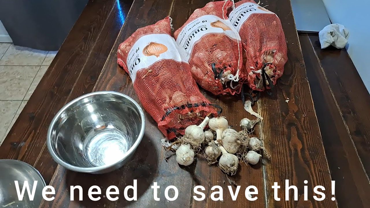Preserving the Garlic Harvest