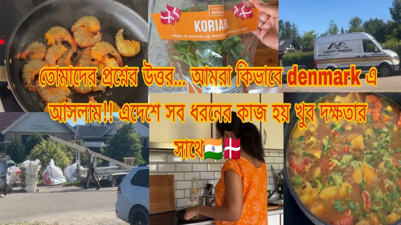 তোমাদের প্রশ্নের উত্তর…আমরা কিভাবে denmark এ এলাম!! এদেশে সব ধরনের কাজ হয় দক্ষতার সাথে #Bengalivlog