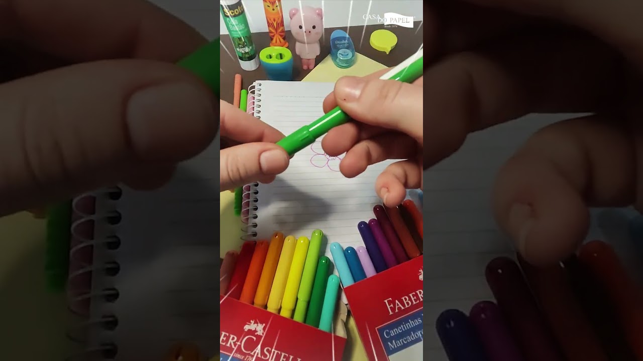 Canetinha vai e vem 24 cores