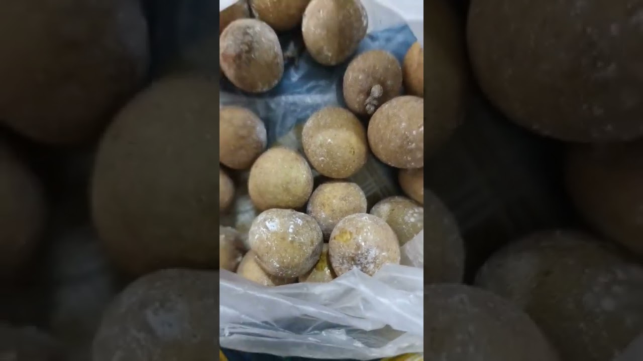 kelengkeng berjamur