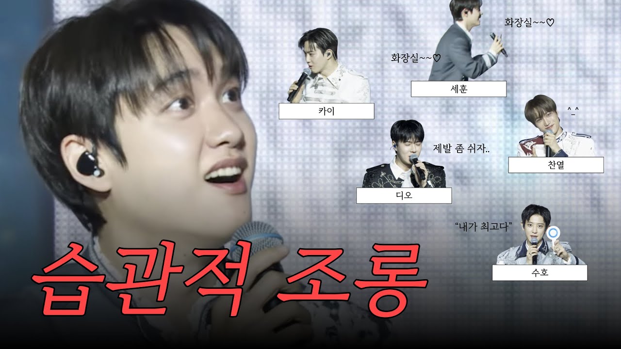 서로 조롱하는데 진심인 엑소