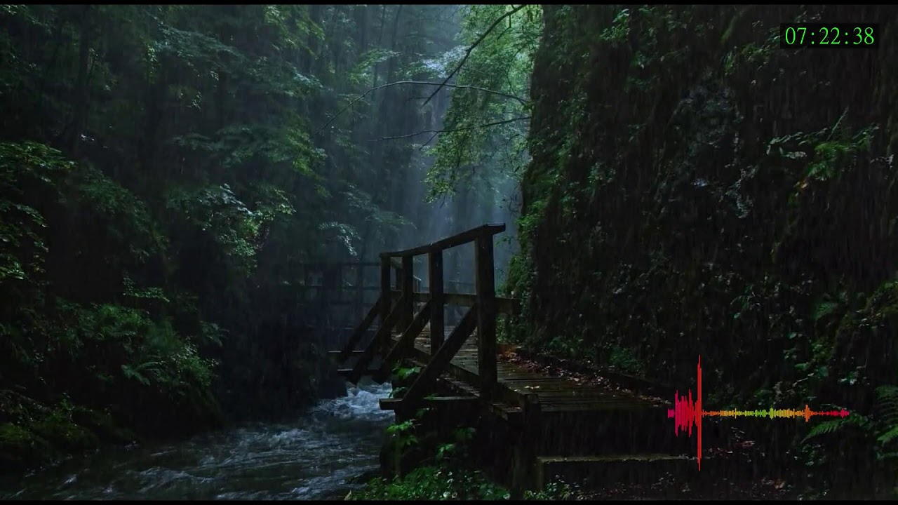 Relaxing Sound for Night Sleep with Calm Audio for Mental Healing