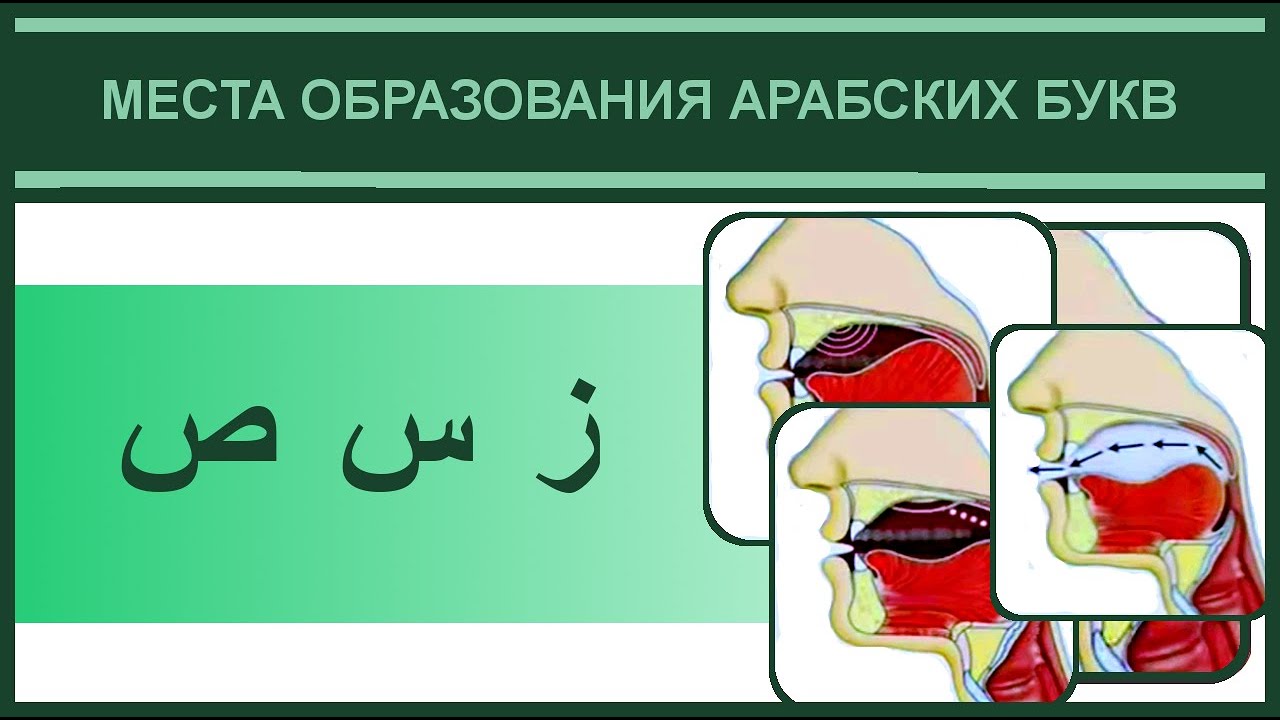 14. Места образования ز س ص | Айман Сувейд (русские субтитры)