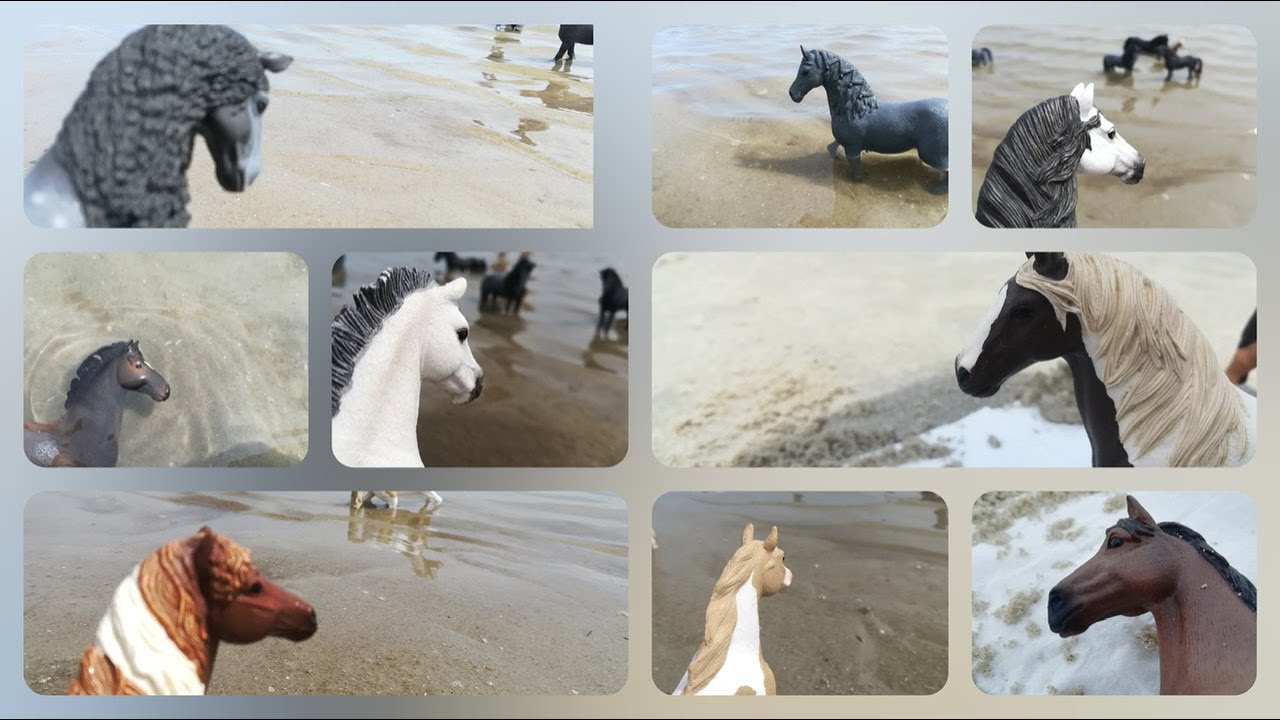 10 Arten von Pferden am Strand 🏖🐴                     |Schleich Video|   Happy#Horse