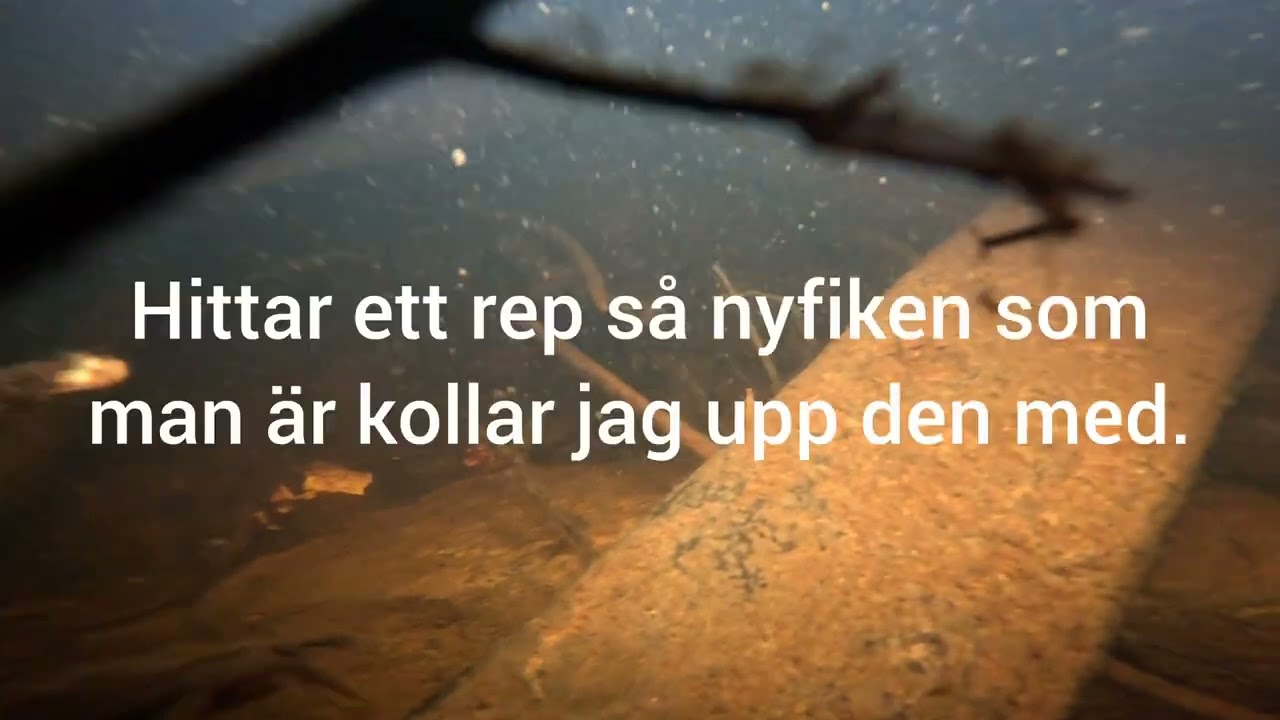 Dyk-sök efter en vilsen slang i älven