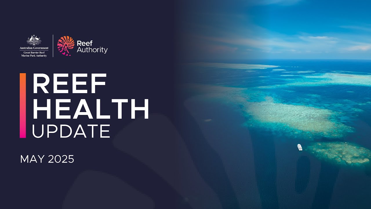 Reef health update | May 2025 | Great Barrier Reef Marine Park Authority
