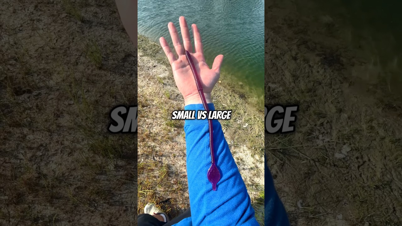 SMALL VS LARGE WORM FISHING CHALLENGE Pt. 1