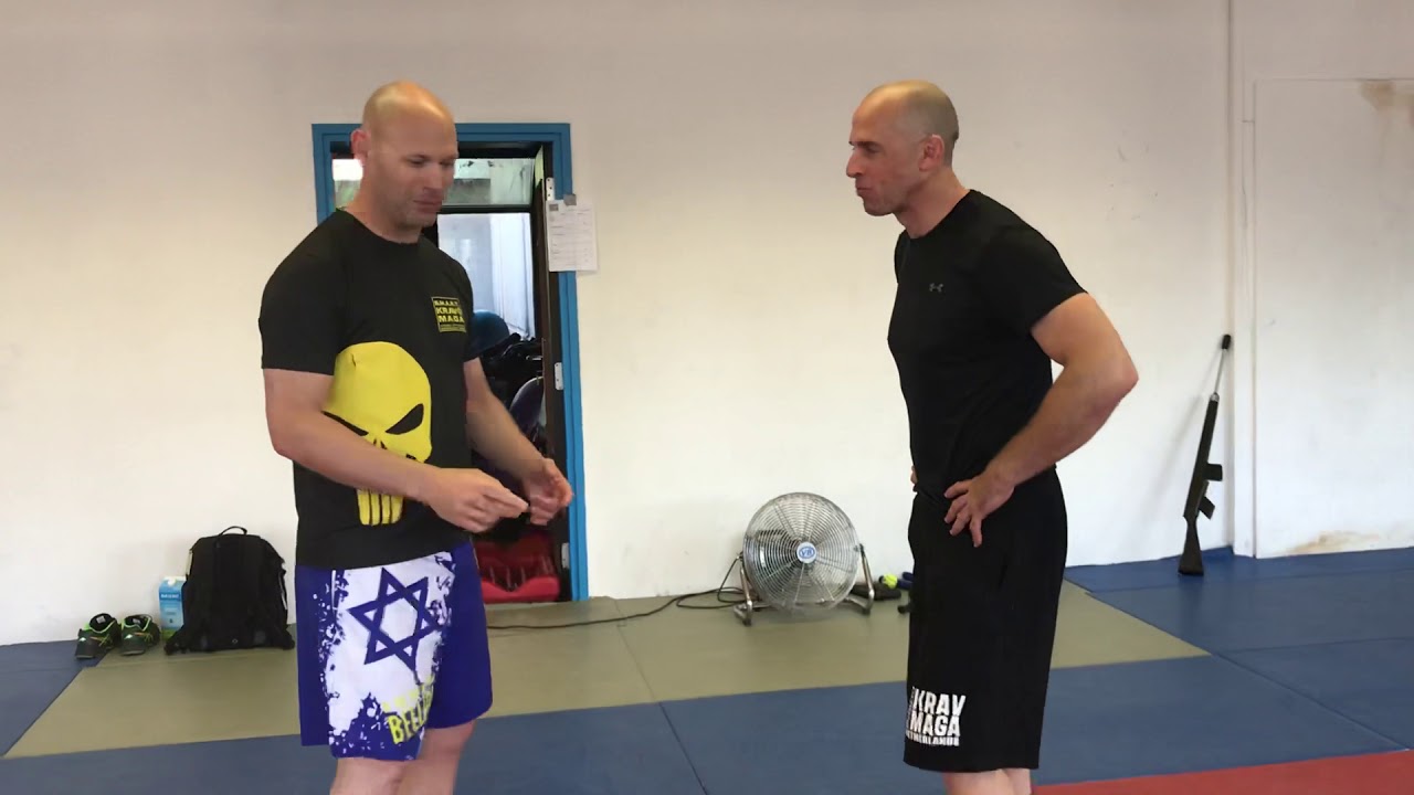 Inside & Outside Defenses with Amnon Darsa at Expert Camp, Institute Krav Maga Netherlands.