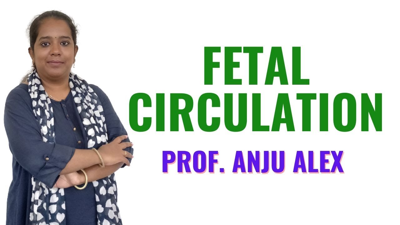 Fetal Circulation I B Sc Nursing 4 th Year I Gynecology I