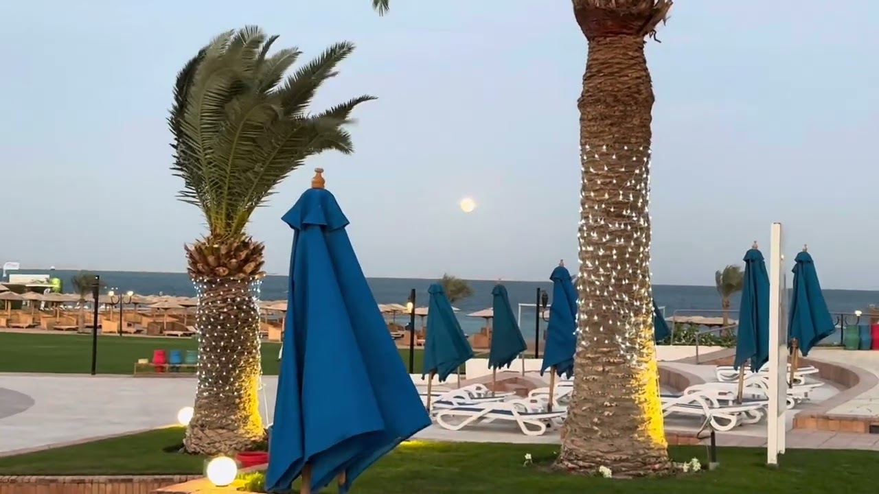Egypt Nov 2023 Part 21 Hurghada Mercure Resort