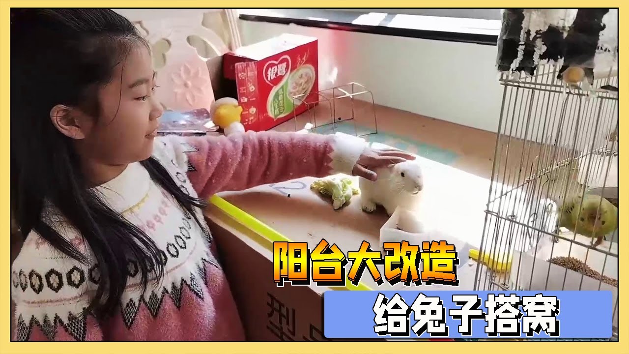 妈妈嫌兔子臭，小艾花132块买材料，和爸爸一起把阳台搭成兔子窝【吃饭睡觉逗艾艾】