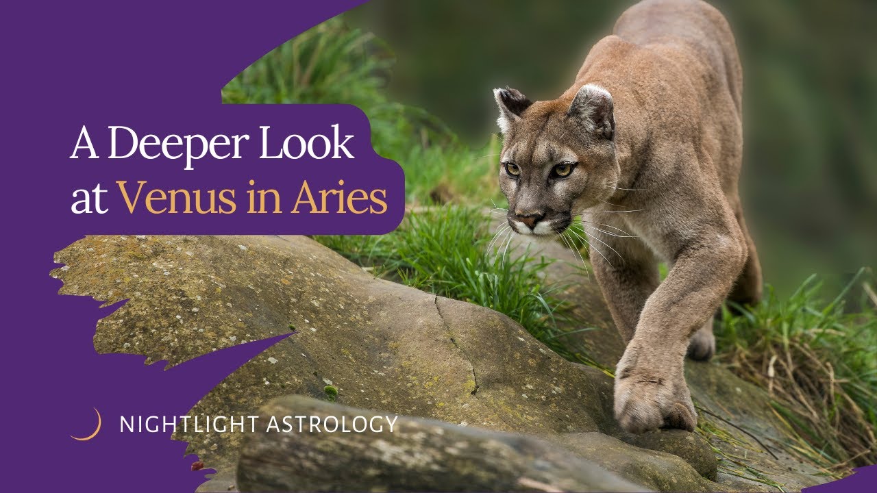A Deeper Look at Venus in Aries