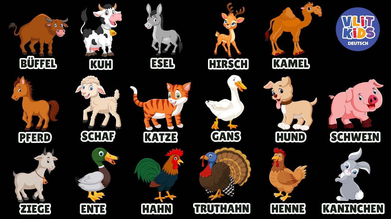 Bauernhoftiere lernen, Namen & Geräusche für Kinder auf Deutsch