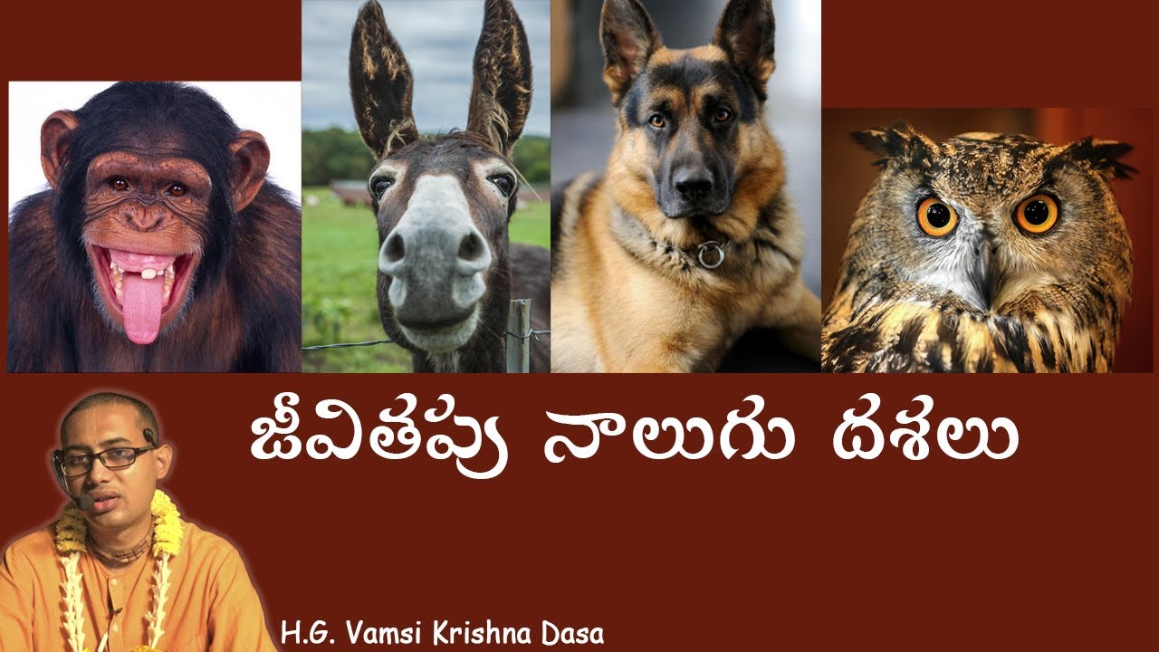 జీవితపు నాలుగు దశలు  Four Stages of Life