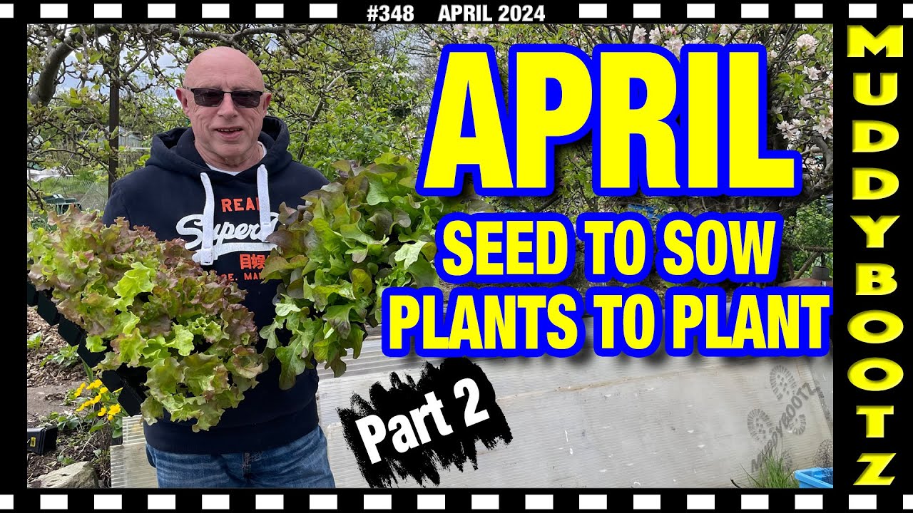 🌻348 🌻 WHAT SEEDS TO SOW IN APRIL 🌻 PLANTING IN APRIL 🌻