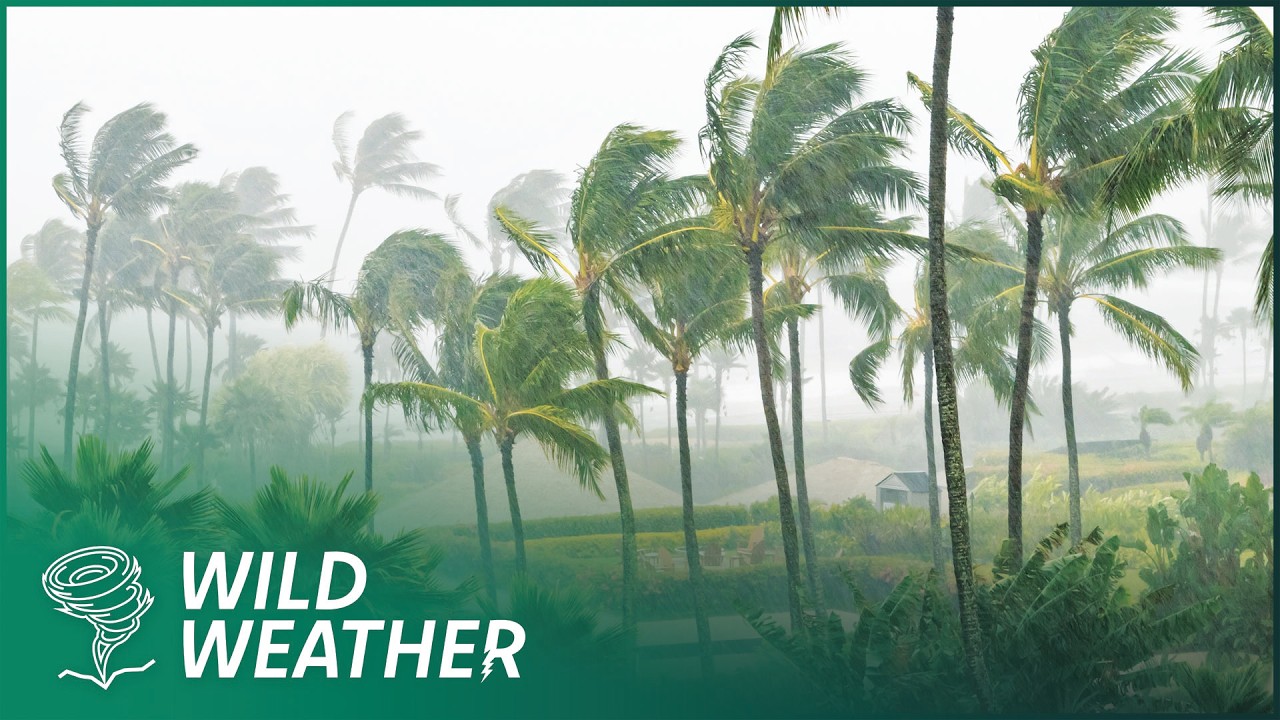 Surviving the World’s Most Violent Storms: Tornadoes & Cyclones