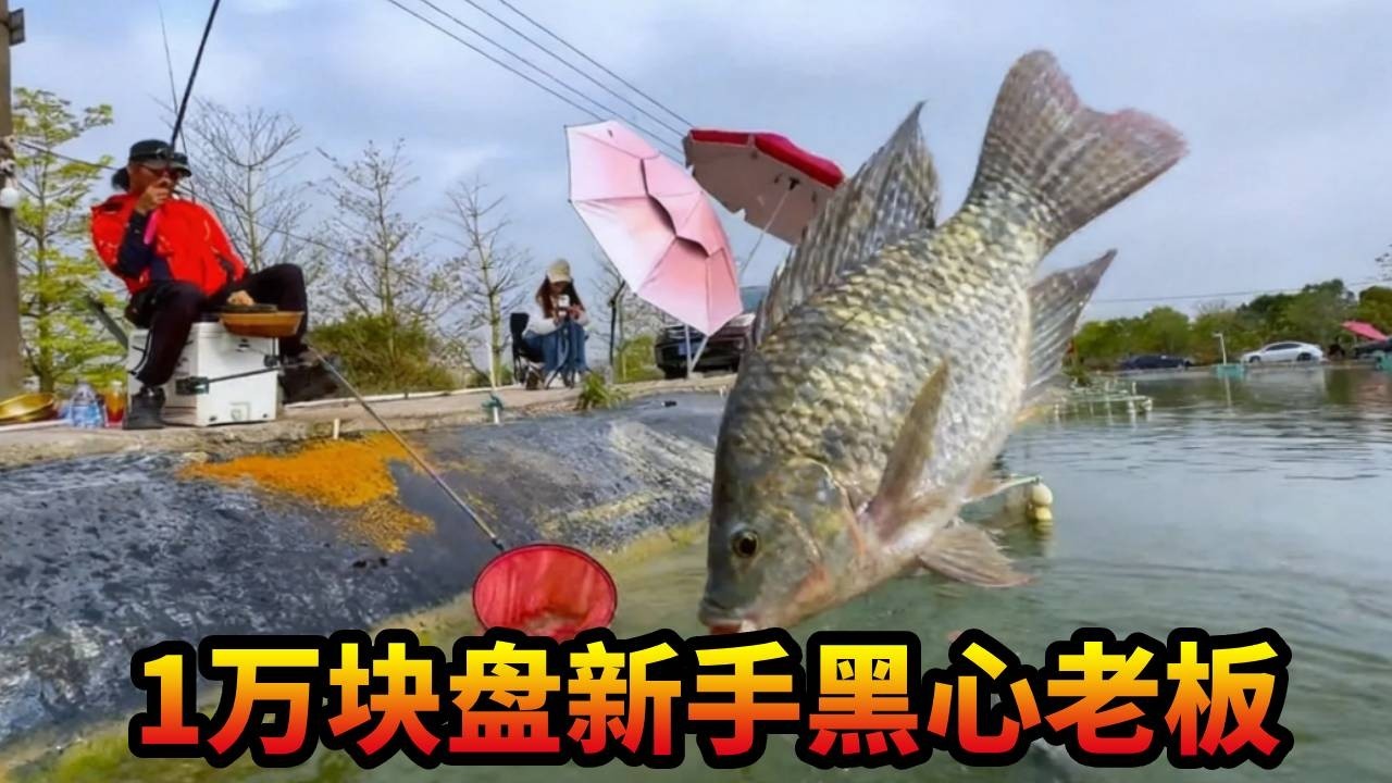 1万块钱钓大非不能继续钓了,今天换一下钓小非，盘这个新手黑坑老板！