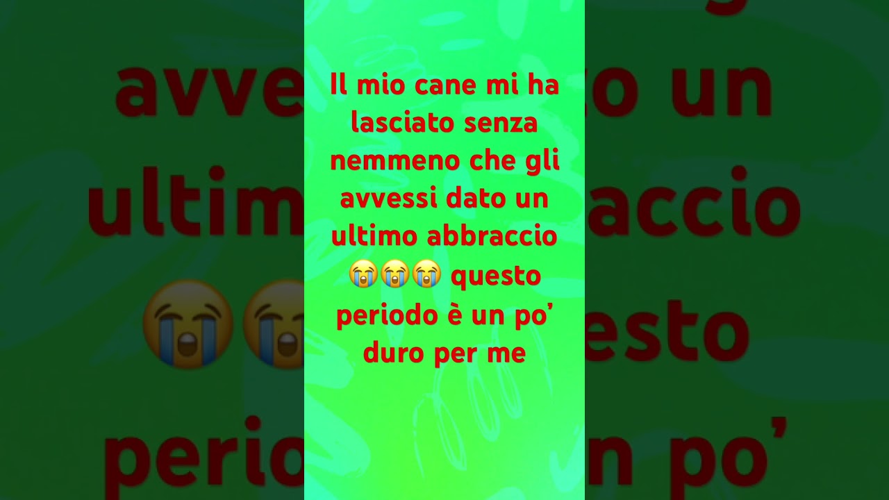 14 maggio 2023