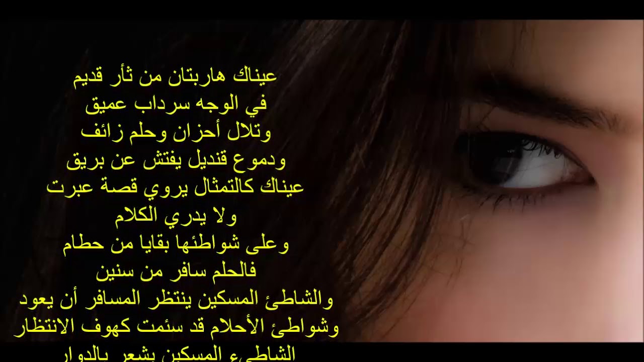 قصيدة 