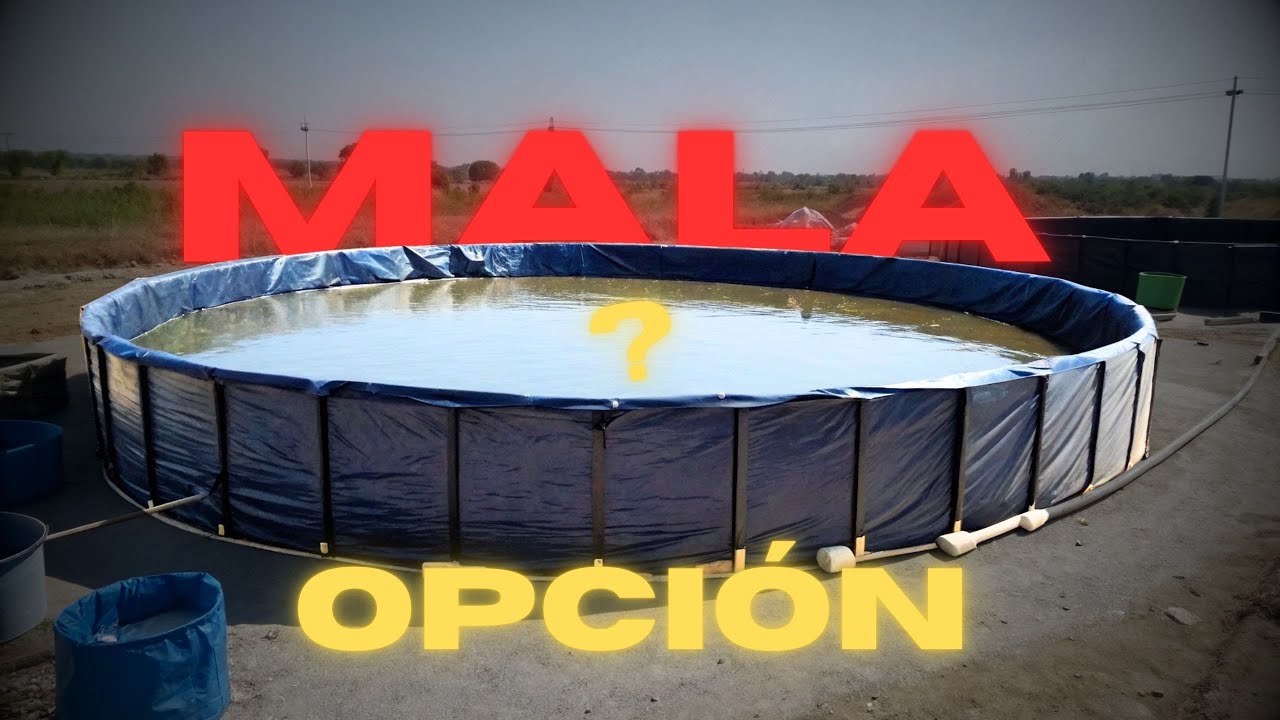 ¿Tanques de GEOMEMBRANA o algo más BARATO? Piscicultura RENTABLE