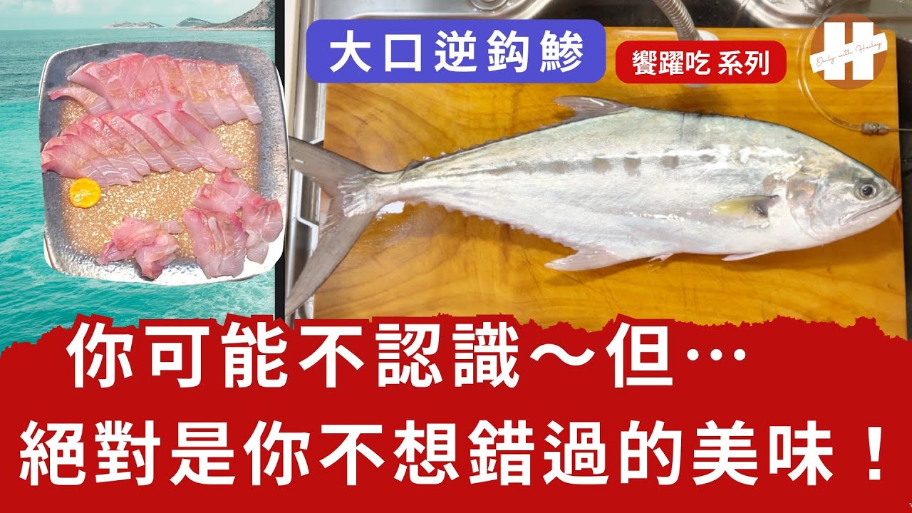 挑戰 大口逆鈎鰺 俗稱 飛扁！ 製作美味 熟成 生魚片 【做生魚片】EP.1-4 make sashimi with Scomberoides commersonnianus  dry aged