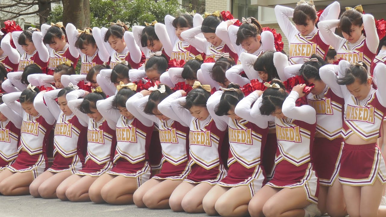 新歓 早稲田大学応援部チアリーダーズBIG BEARS2018
