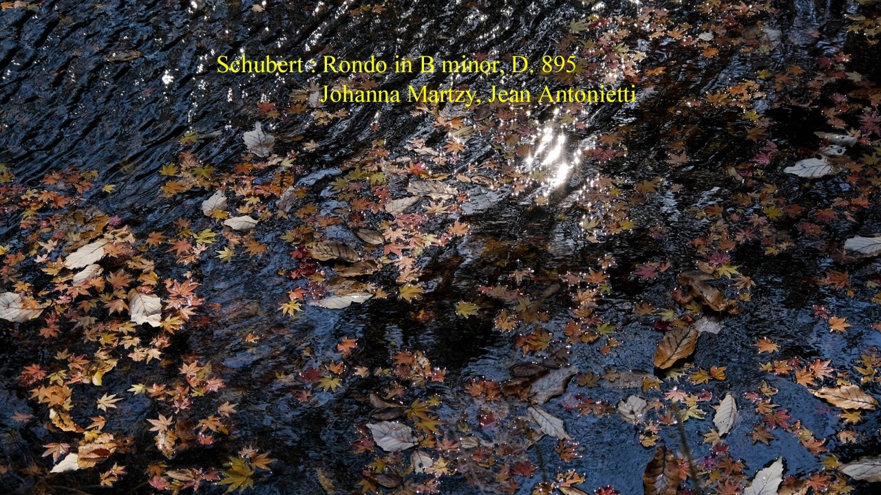 Schubert : Rondo in B minor, D. 895