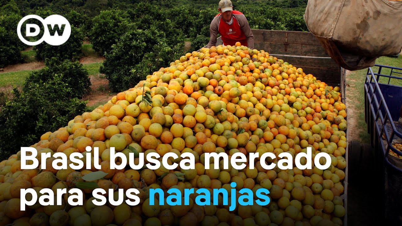 Los aranceles de Trump ponen en jaque a los agricultores de Brasil