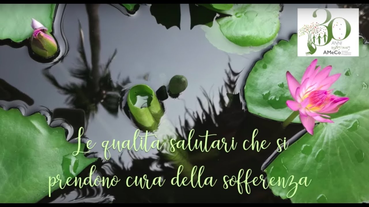 Prendersi cura della sofferenza - Neva Papachristou, seminario di Dharma del 26/11/18