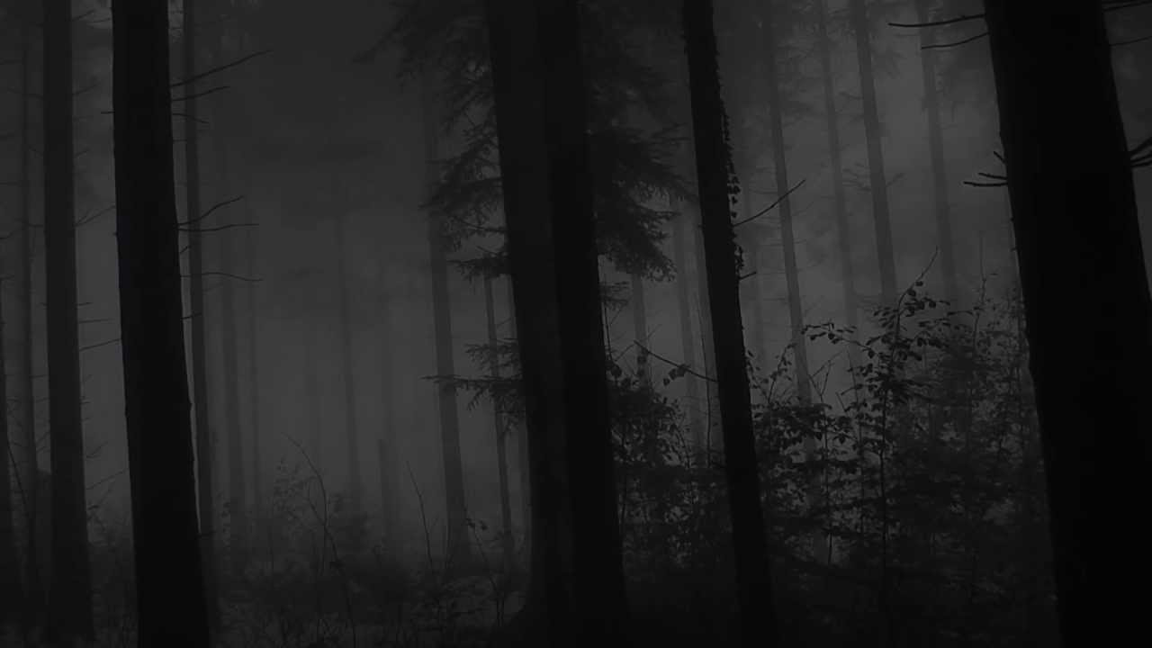 Dark Ambient - Vinterriket - Waldkult