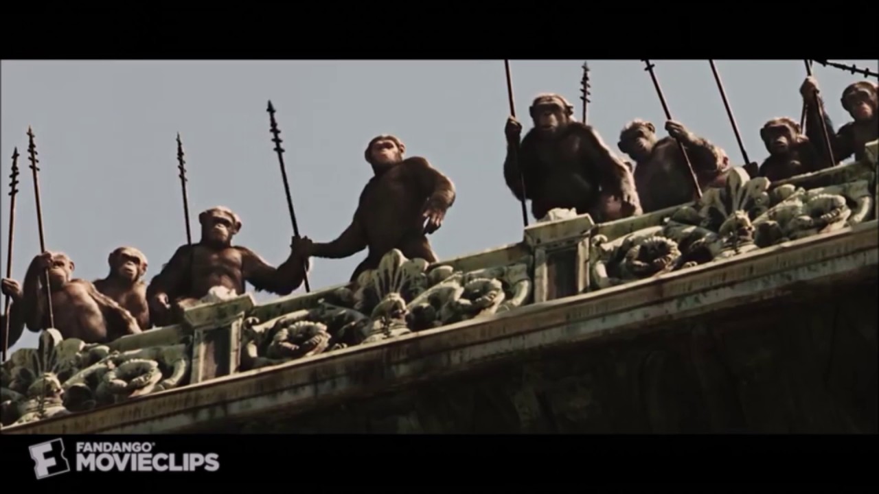 Apes From Rise of the planet of the apes Tribute