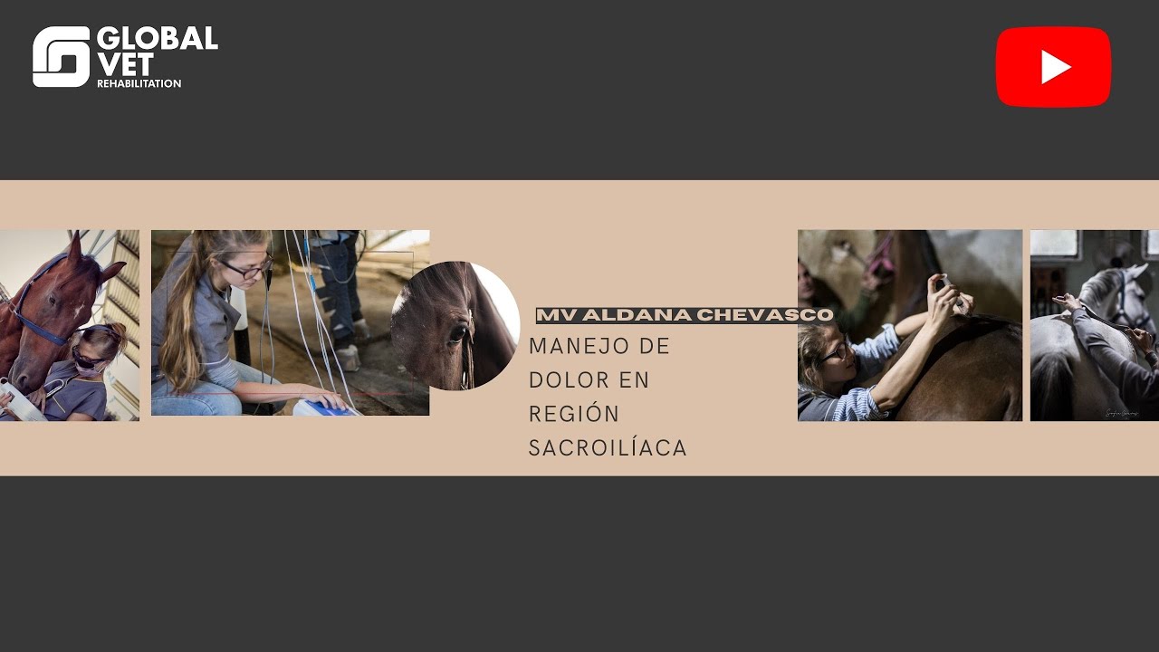Manejo de dolor en región sacro con terapias complementarias y su diagnóstico clínico.