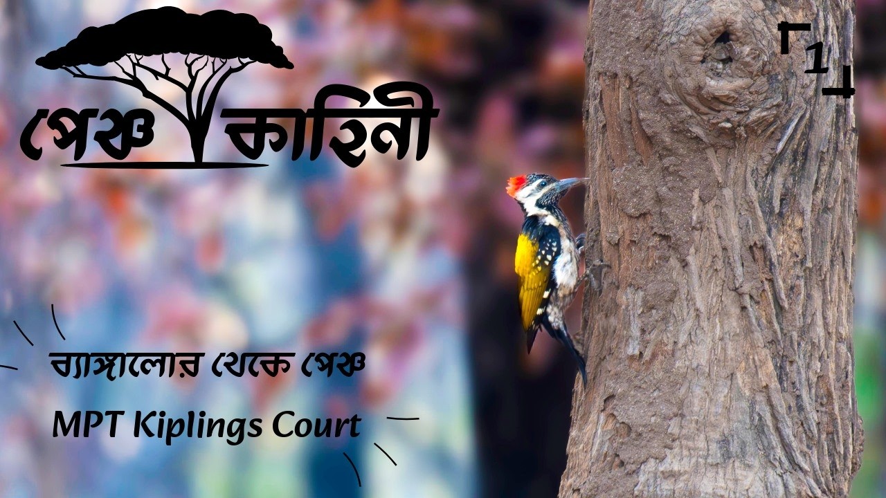 PENCH EP1:Bangalore to Pench & MPT Kiplings Court
