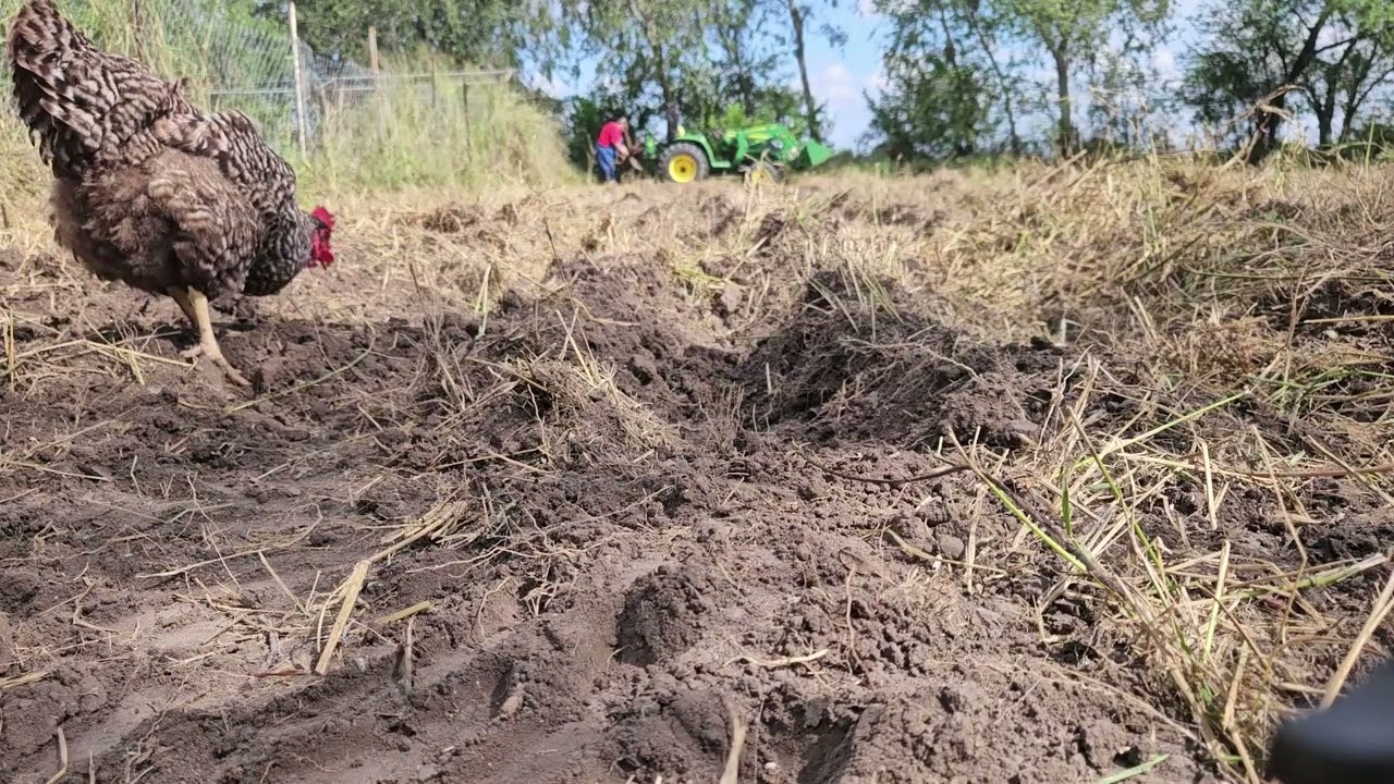 Afternoon on tractor