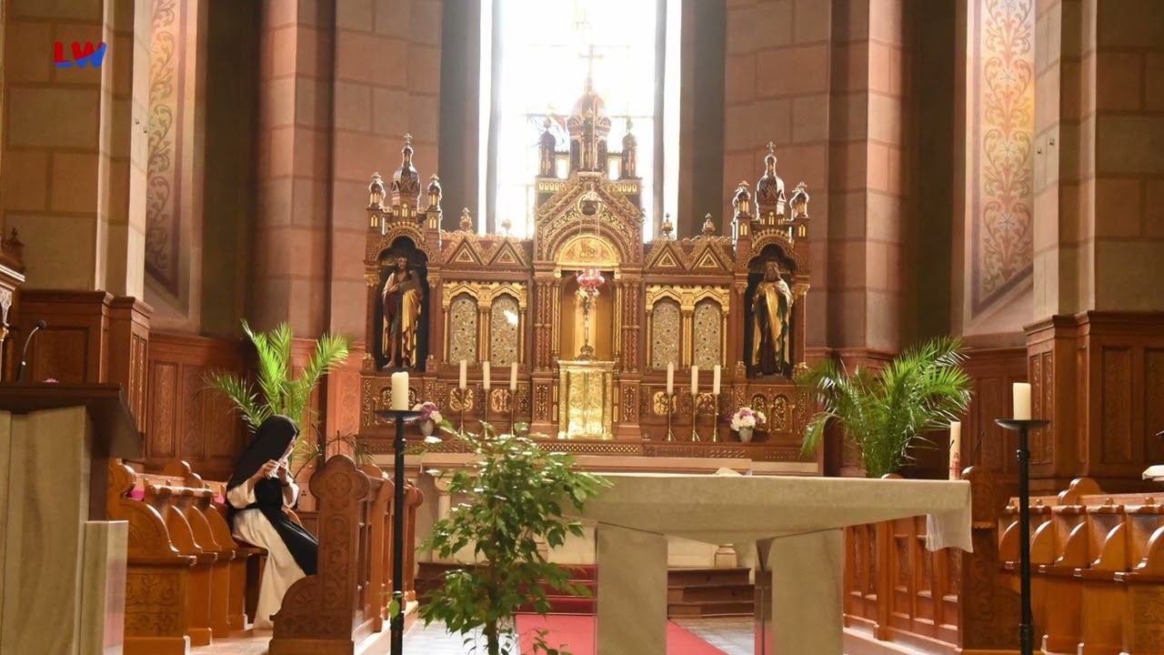 Ostritz / Sankt Marienthal: Weihe der neuen Orgel am 4. Advent  - LAUSITZWELLE