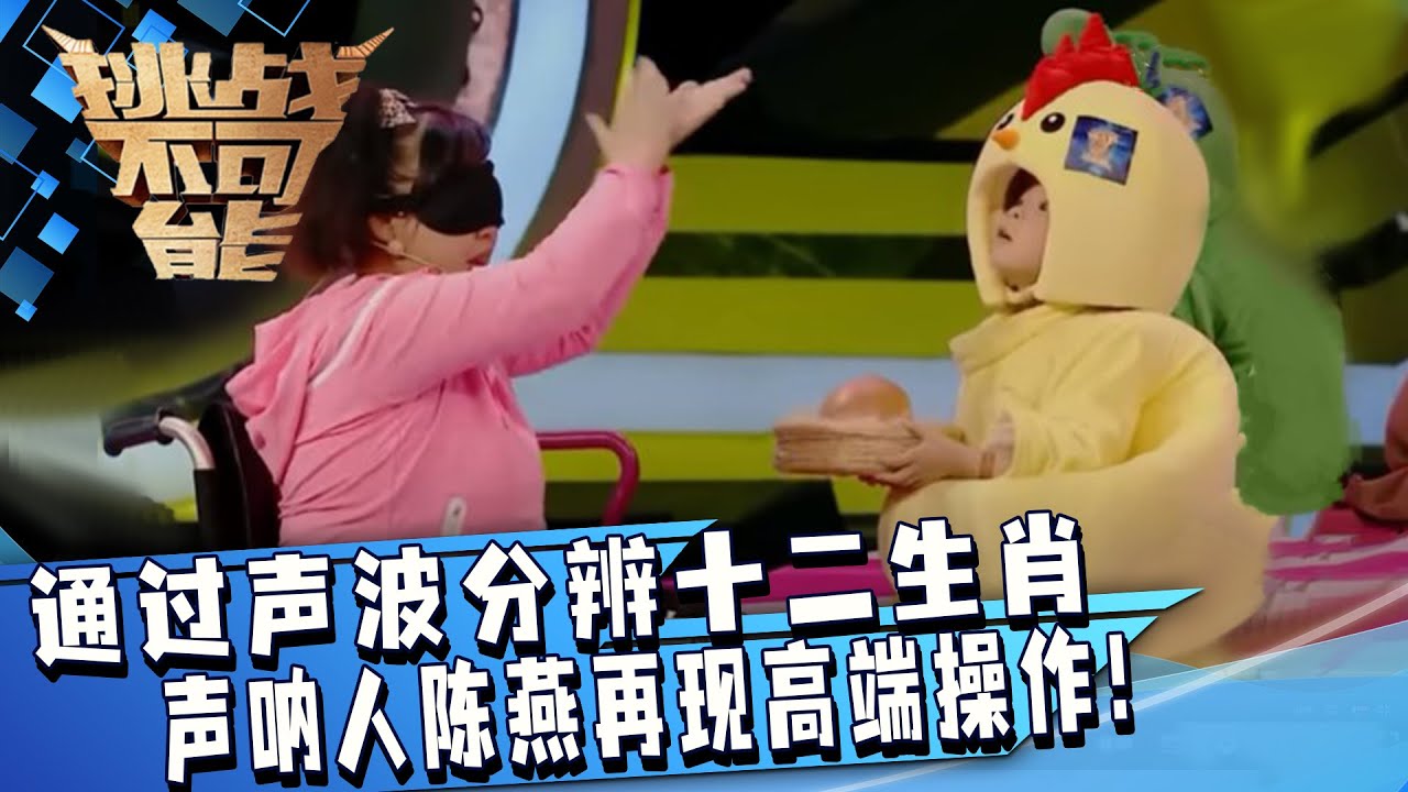 声呐人陈燕再现高端操作 通过声波分辨十二生肖！老天给她关了一扇门的同时也给她开了一扇窗！| 挑战不可能 Impossible Challenge