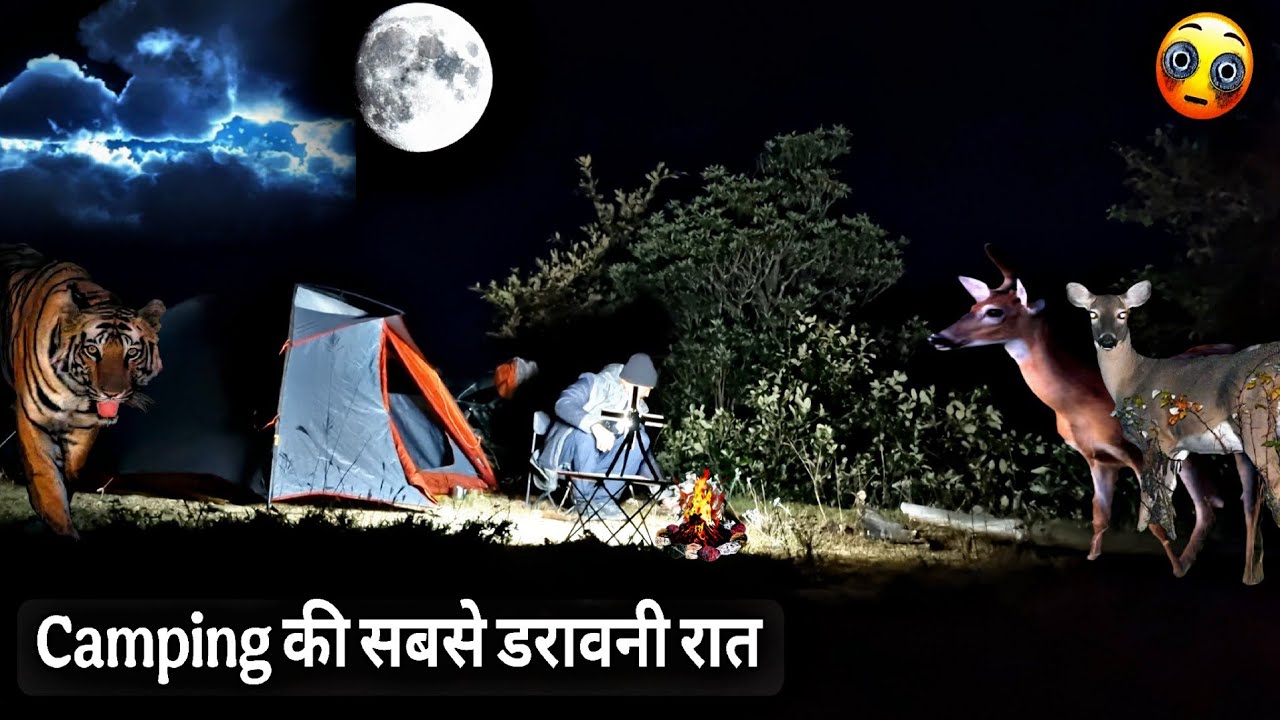 One Night Alone In Tiger Territory | Scary Night In Jungle  