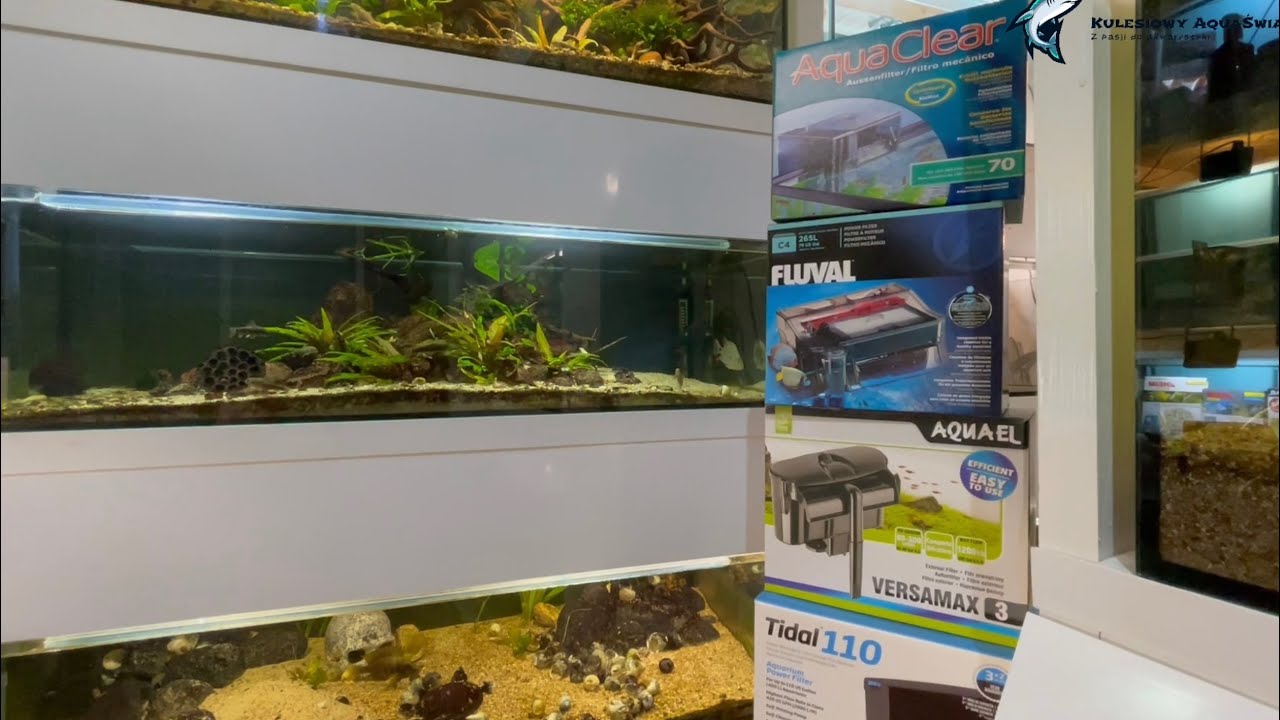 Seachem Tidal 110 vs Fluval C4 vs Aquaclear 70 vs AquaEl VersaMax 3 „Test długodystansowy”