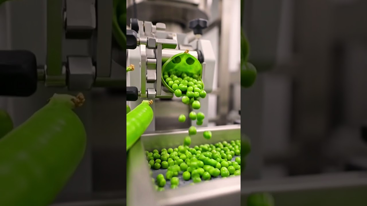 Mixed Vegetable Factory Process (Premium Farm-Fresh Edition)