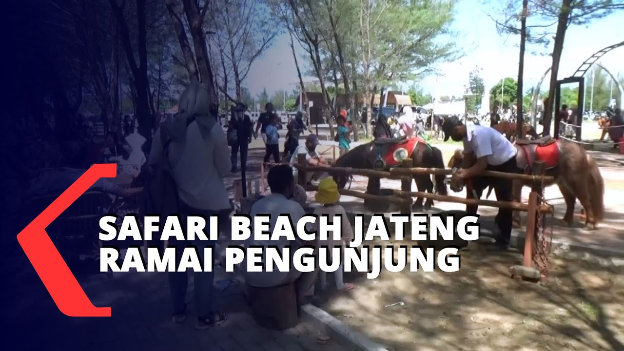 Wisata Safari Beach Jawa Tengah Ramai Pengunjung