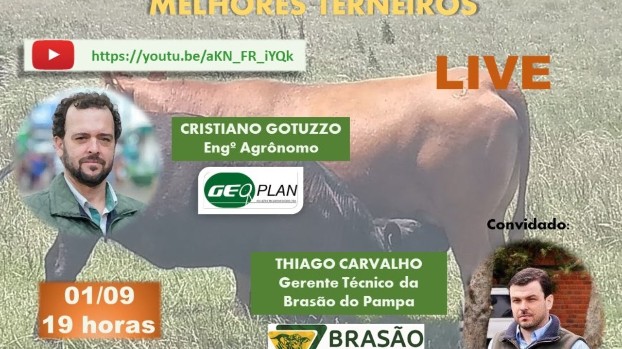 BATE-PAPO: PRODUZIR MAIS E MELHORES TERNEIROS