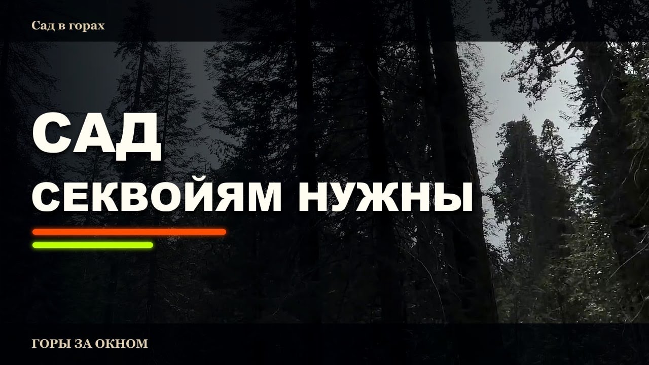 Национальный парк Секвойя, Калифорния.